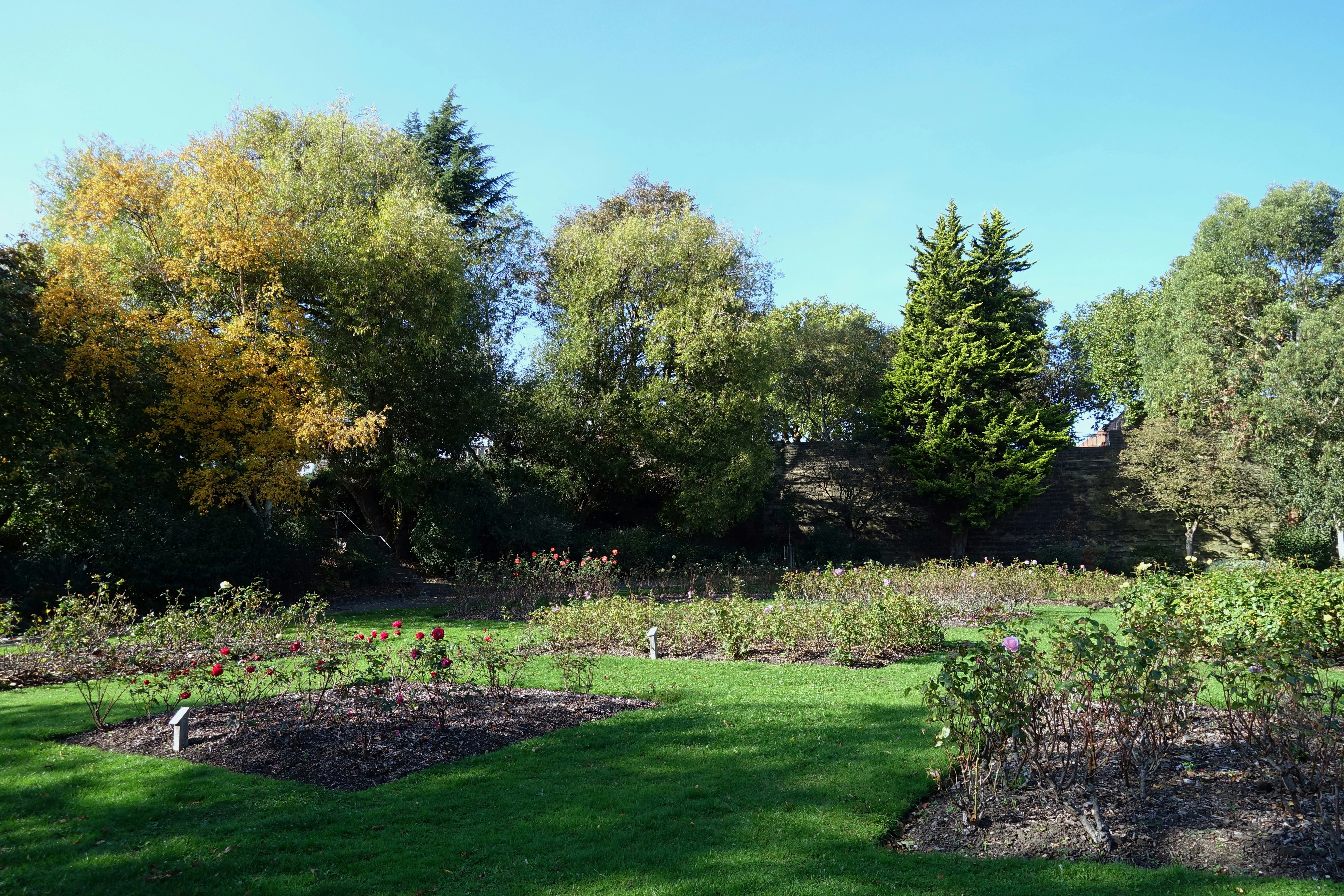 Gepflegte Grünanlage mit Hecken und Beeten