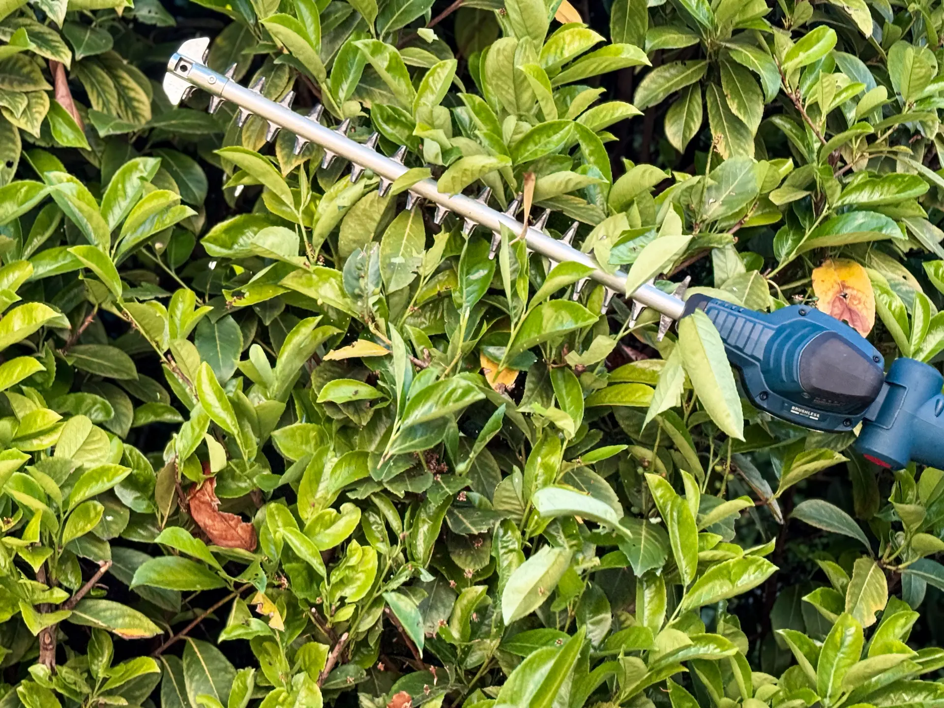 Gartenpflege